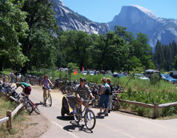 Bicyclists in Yosemite Valley.