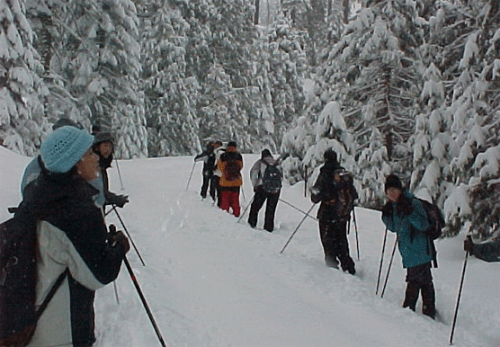 Yosemite Institute group enjoying education outdoors in winter.