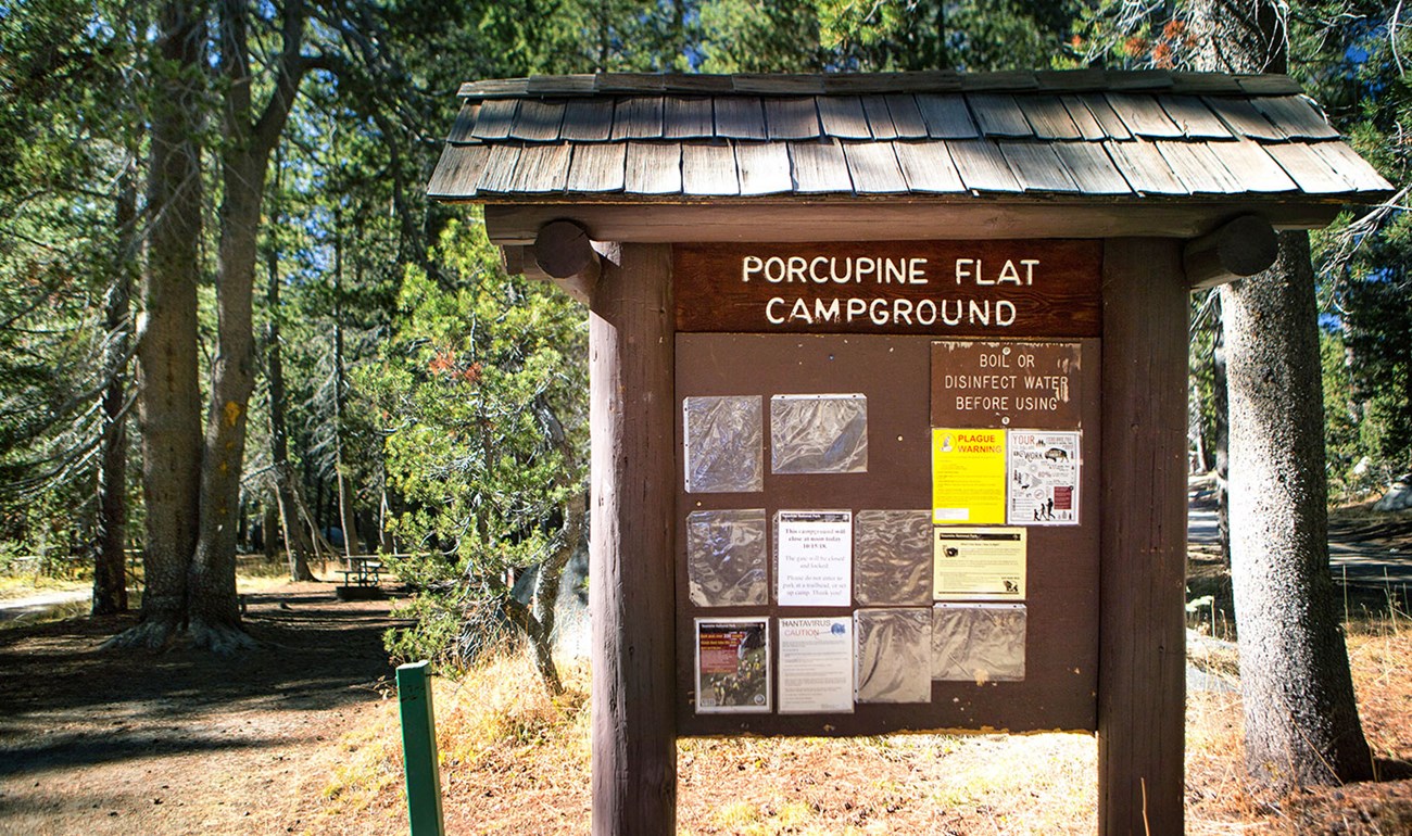 Wooden Porcupine Flat Campground entrance sign