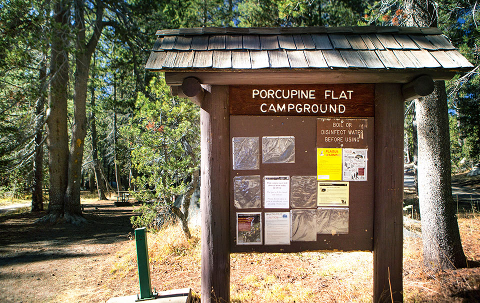 Escape to Idaho's Wild Side: Porcupine Campground, Your Gateway to Adventure