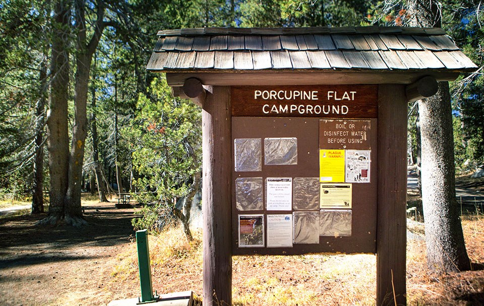 Wooden Porcupine Flat Campground entrance sign