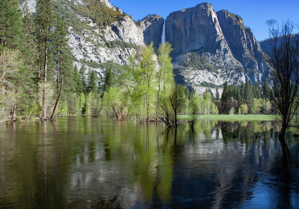 View of Yosemite Falls and an overflowing river into Sentinel Meadow on April 27, 2019.