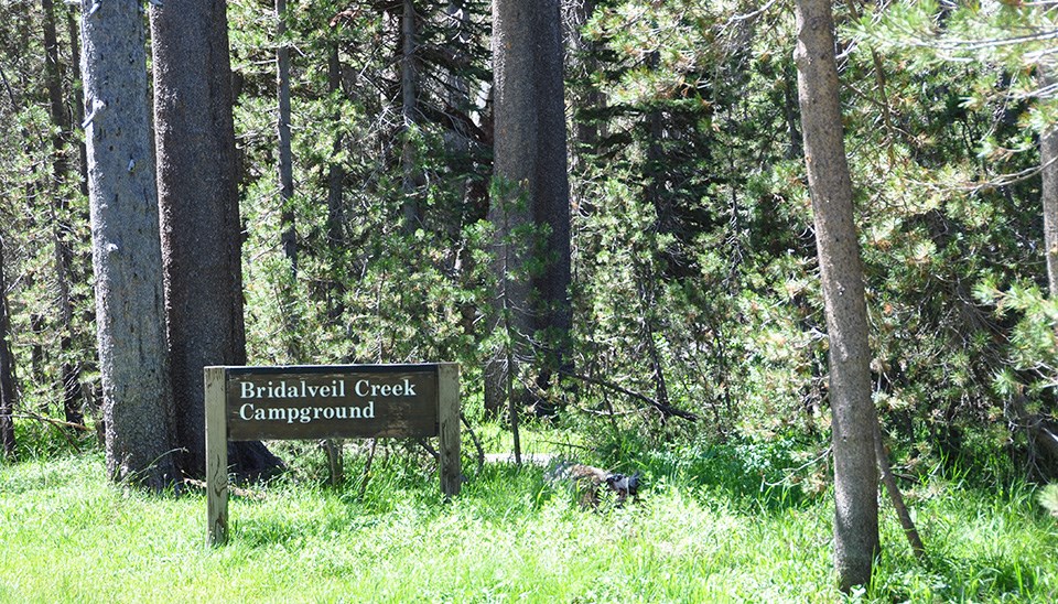 Bridalveil Creek Campground Map Bridalveil Creek Campground - Yosemite National Park (U.s. National Park  Service)