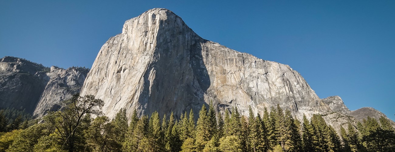 View of El Capitan from the Valley floor