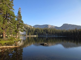 View of trees next to a subalpine lake