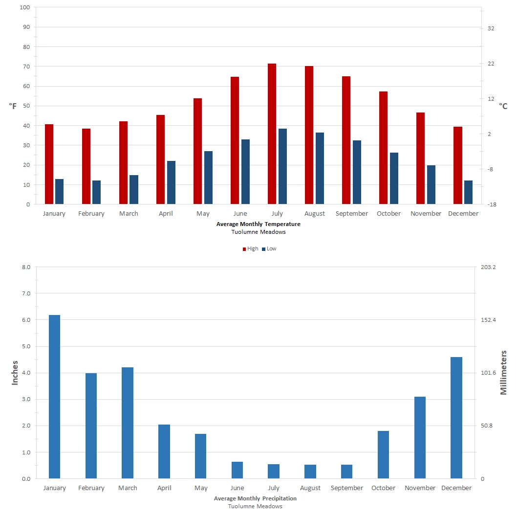 climograph-tm Chart showing monthly average temperatures and precipitation (as described in table above)