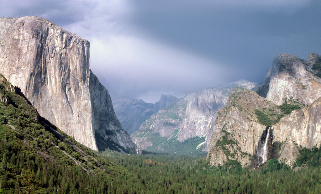 What are some fun Yosemite facts for kids?