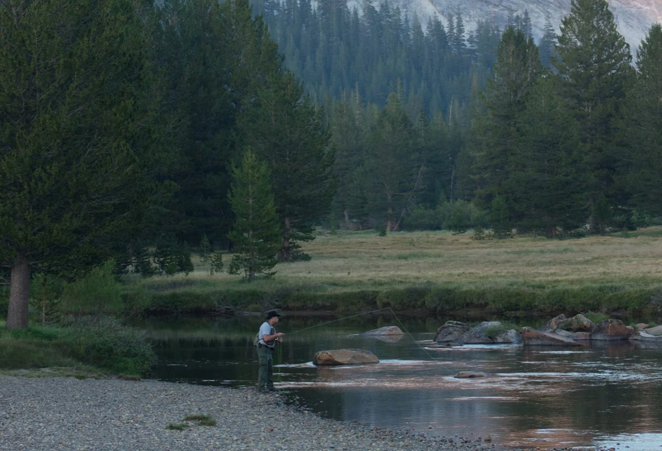 Person fishing in Tuolumne River in Tuolumne Meadows at dusk Person fishing in Tuolumne River in Tuolumne Meadows at dusk