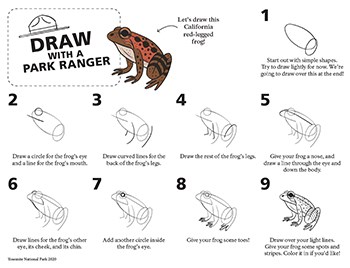 Image showing all step by step instructions and line drawings for the frog.