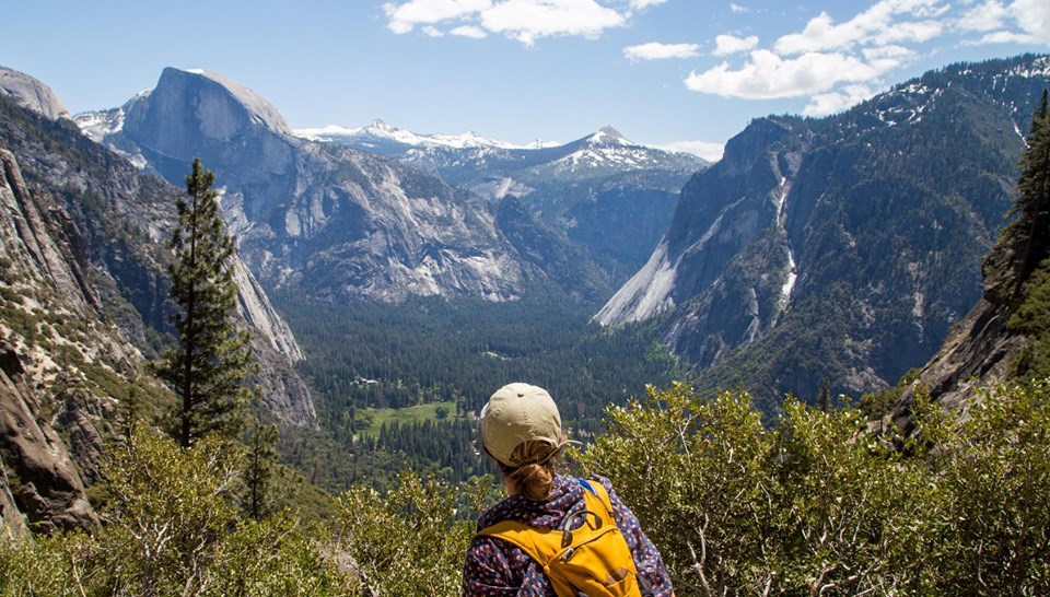 Back of hiker in foreground looking east in Yosemite Valley with Half Dome in background