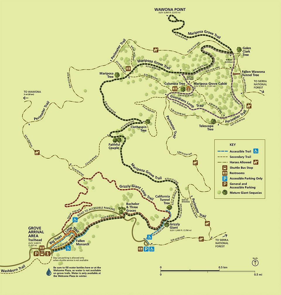 Color trail map of Mariposa Grove