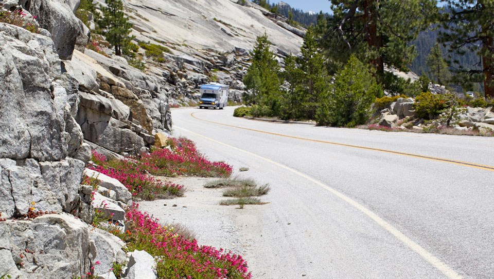 RV traveling along Tioga Road