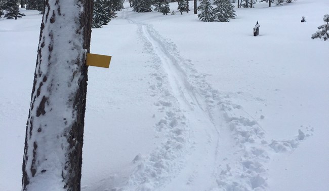 Winter route and ski route marker
