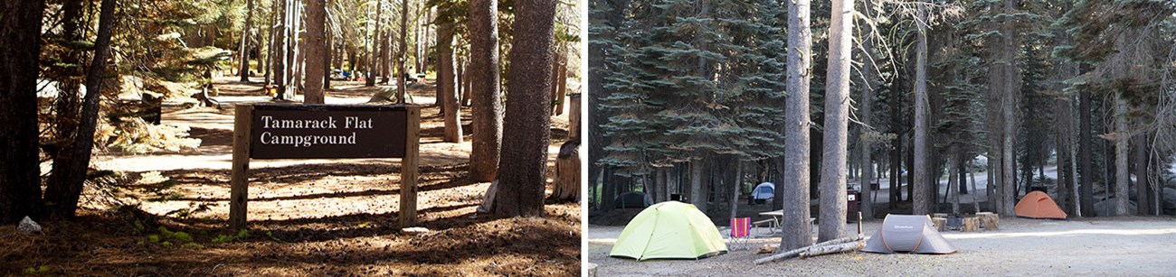 Left image: Wooden Tamarack Flat Campground sign; Right image: tents set up in campground