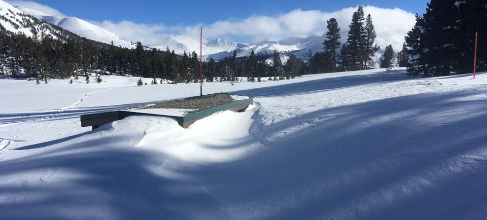 Tioga Lake: Your Pennsylvania Adventure Awaits!