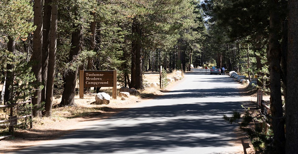 Wooden Tuolumne Meadows Campground sign at entrance to campground