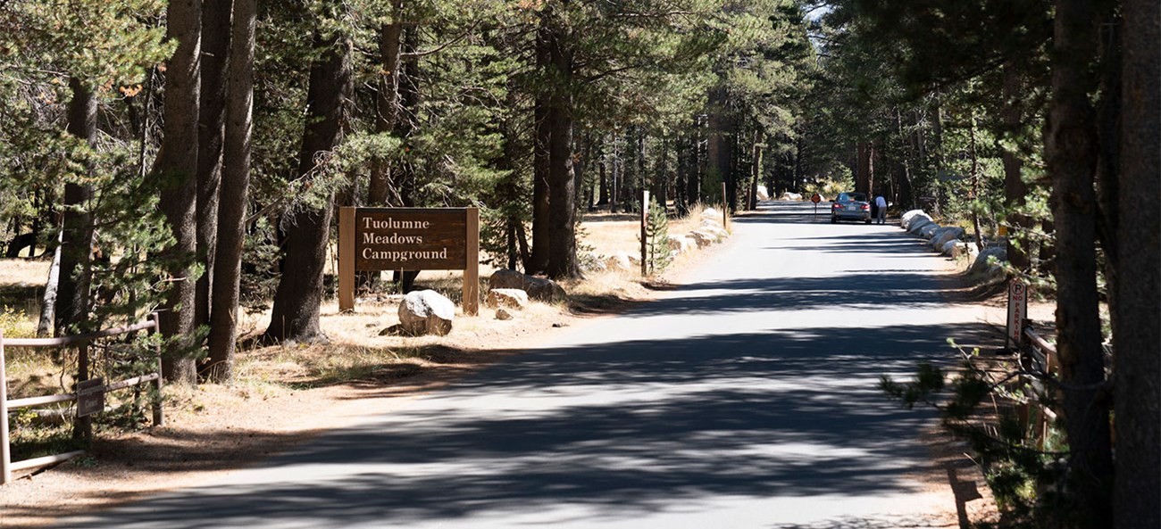 Wooden Tuolumne Meadows Campground sign at entrance to campground