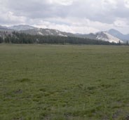 Lembert Dome and peaks rise above greening Tuolumne Meadows