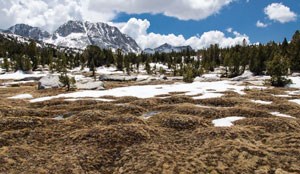 A scattering of early season snow at Vogelsang