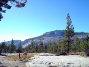 mountain rises from trees. Photo by Victoria Mates.