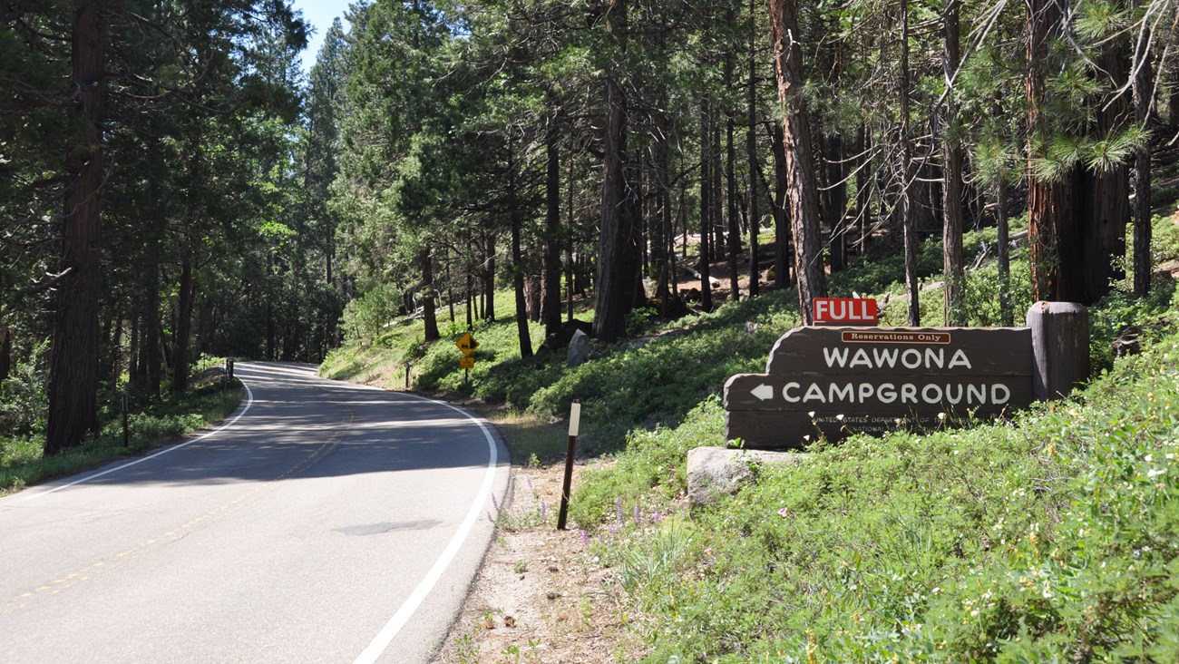 Wawona Campground Sign along the Wawona Road