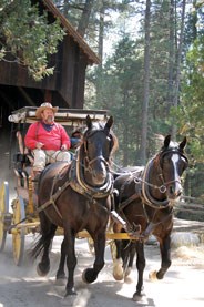 Horse drawn wagon driving through historic tunnel bridge.