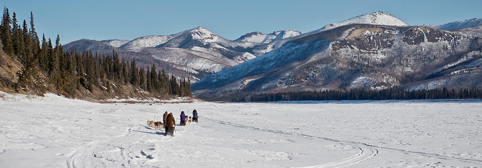 Mushers and dog teams mushing on the Yukon River and mountains rising above the river ice.