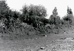 Charley's Village cutbank 1992