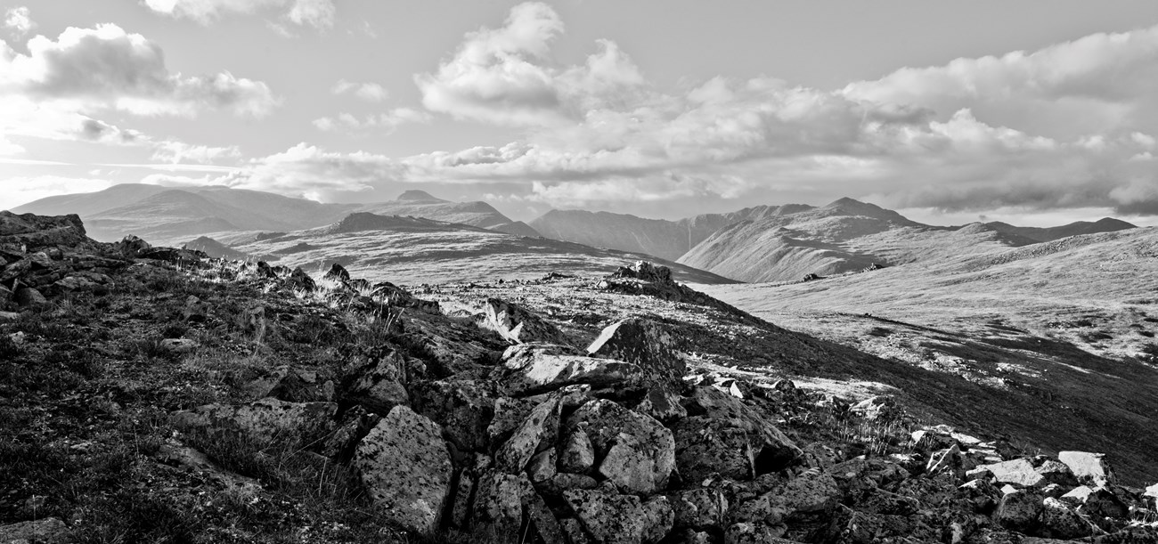 Black and white photograph of the Charley River Headwaters