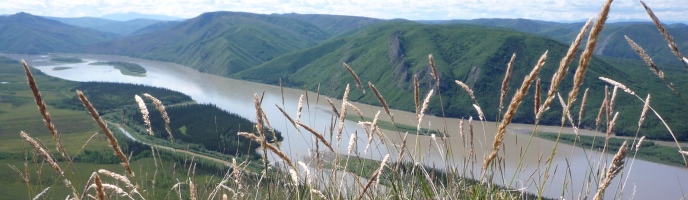 subarctic steppe grasses 688x200