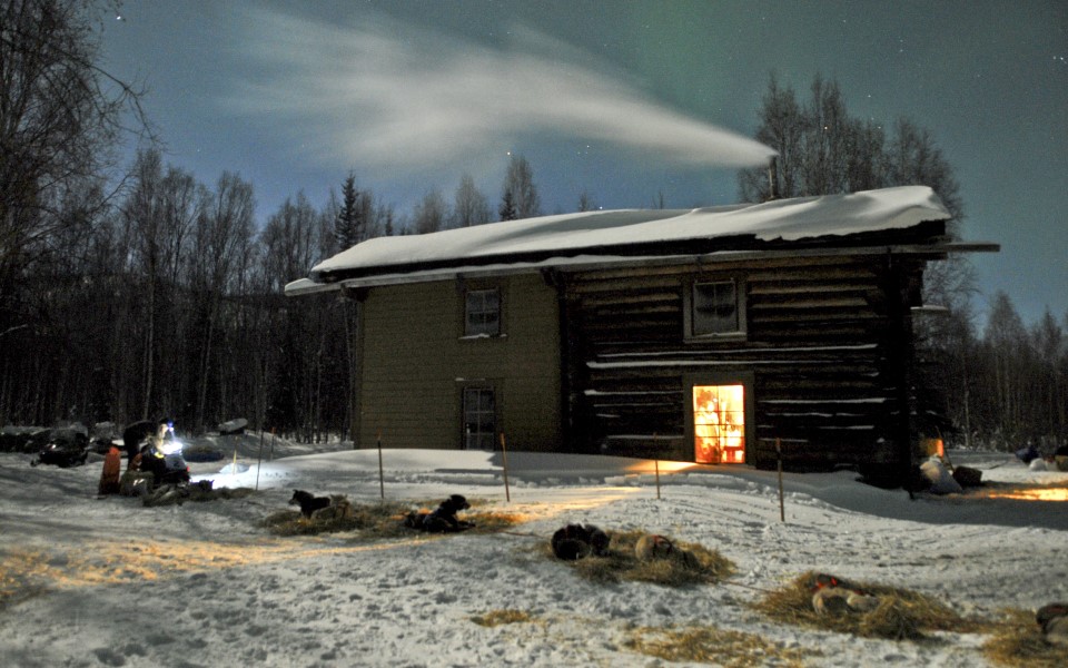 A dog team rests while a musher prepares their food under the night sky at Slaven's Roadhouse