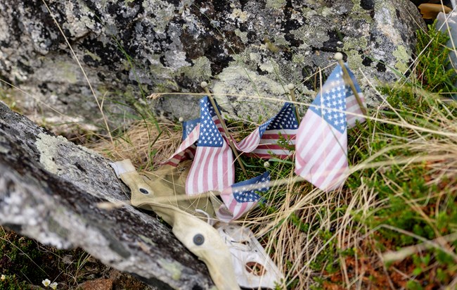 Flags left to honor the fallen at B-24 crash site.