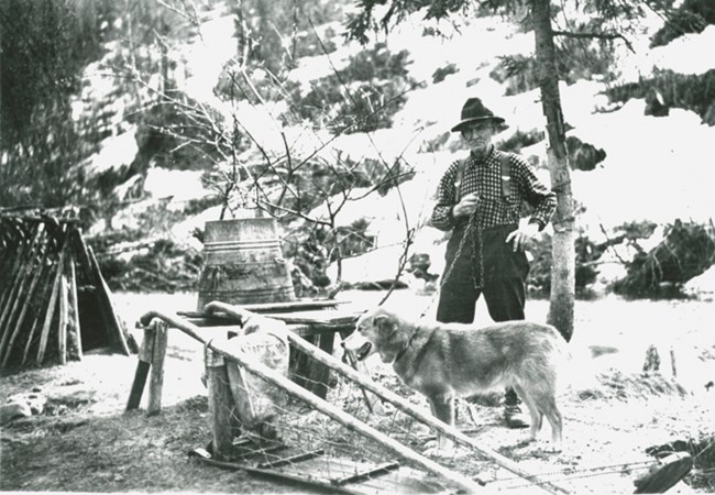 Cap Reynolds with his lead dog and freight sled, ca. 1948