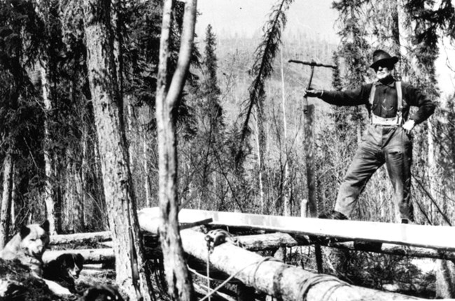 Cap Reynolds whipsawing lumber at Sam Creek, ca. 1940