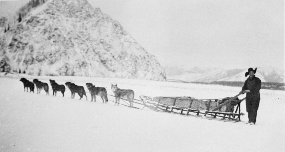 Historic image of Biederman Mail Service, Ed Biederman and his dog sled team, on the Yukon River in front of Eagle Bluff at Eagle, Alaska Historic image of Biederman Mail Service, Ed Biederman and his dog sled team, on the Yukon River in front of Eagle Bluff at Eagle, Alaska