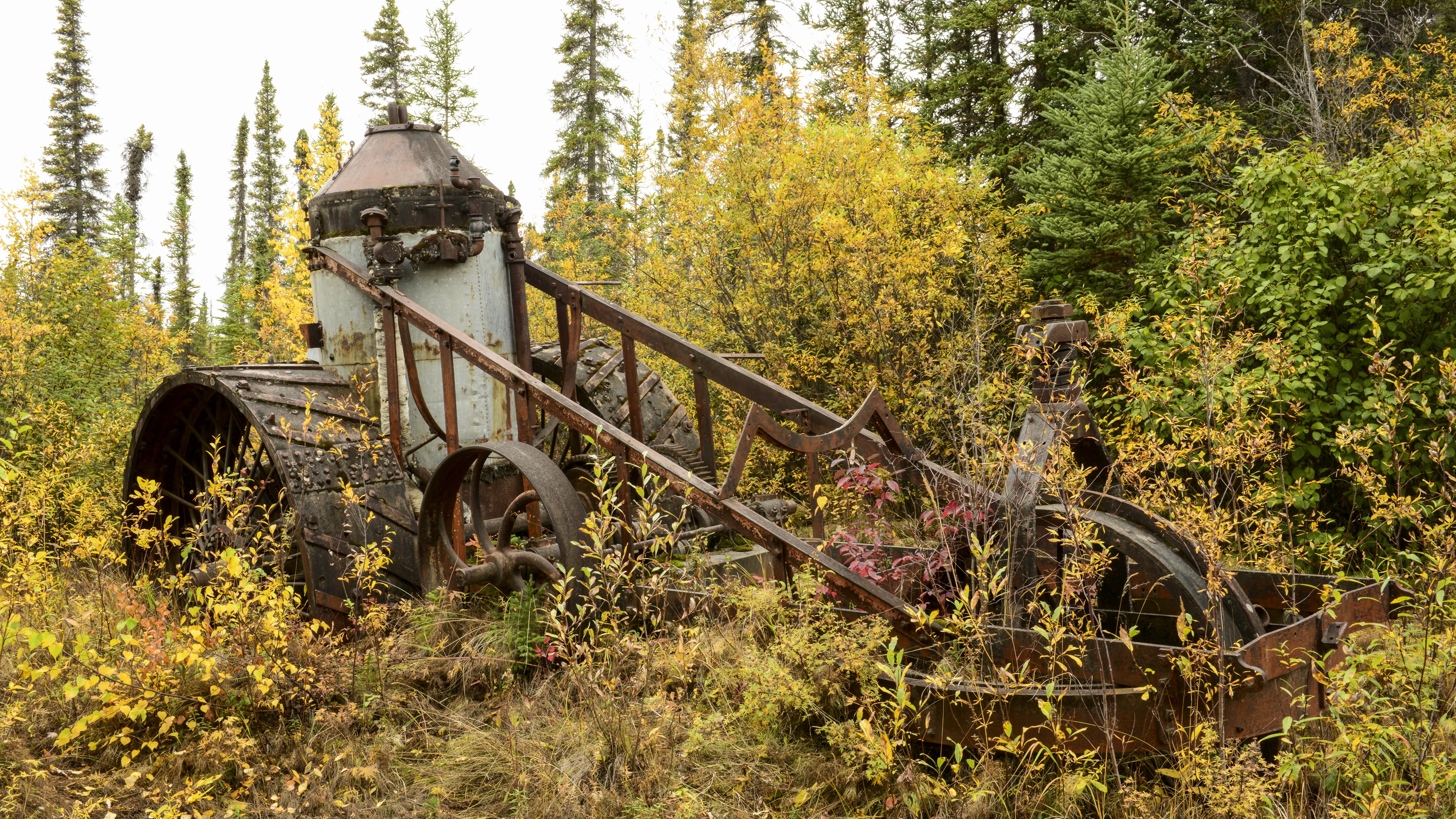The Steam Tractor at Washington Creek in fall colors