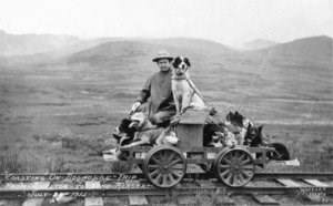 Historic photo of Johnson and dogs riding a dog powered rail cart.
