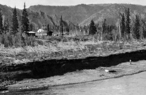 Click to read about Woodchopper Roadhouse