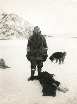Historic photo of Roald Amundsen and his sled dogs on the frozen Yukon River near Eagle, Alaska. Historic photo of Roald Amundsen and his sled dogs on the frozen Yukon River near Eagle, Alaska.