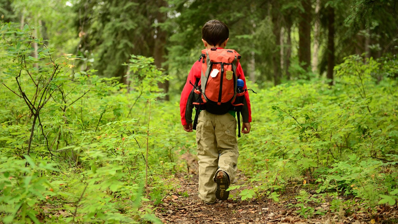 Young boy walks away from the camera wearing a backpack on a forest trail.
