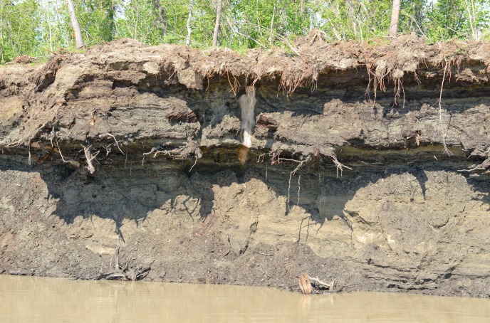 An almost pure ice wedge is clearly visible in a large cutbank on the Yukon River. An almost pure ice wedge is clearly visible in a large cutbank on the Yukon River.