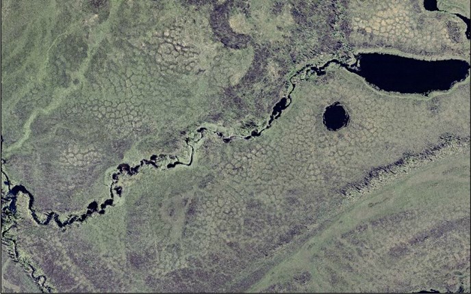An aerial view of permafrost polygons about fifty-feet wide in a low-lying area near the Yukon River.