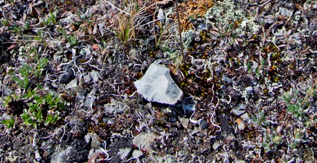 A chipped off fragment of rock sits on top of the tundra