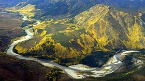 Charley River Aerial Photo