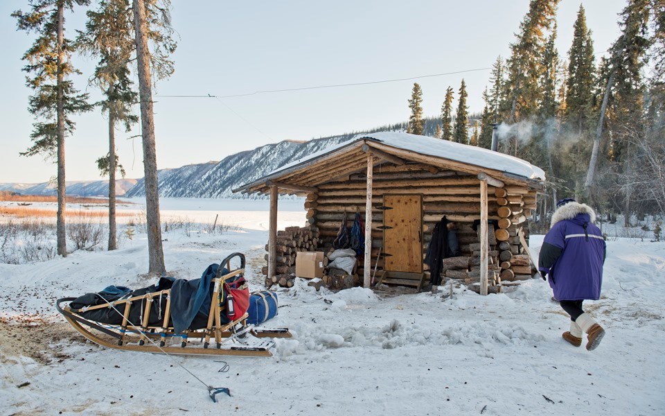A musher and dogsled at the Kandik River Public Use Cabin