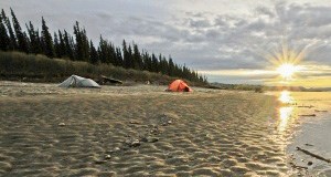 Tents set up on the bank of the Yukon River