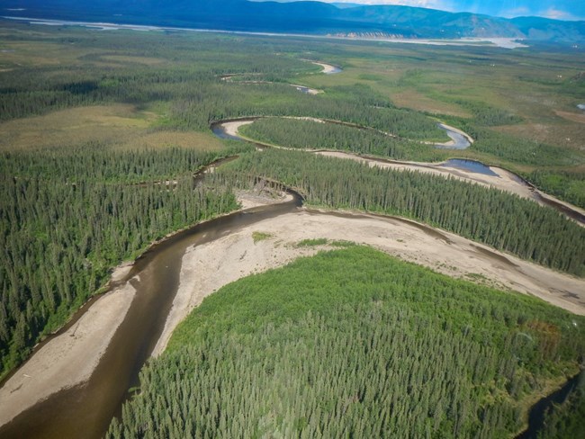 Aerial photo of a channel change on the Charley River, looking downstream towards the Yukon River in the distance