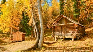 Glenn Creek public use cabin with golden leaves of fall