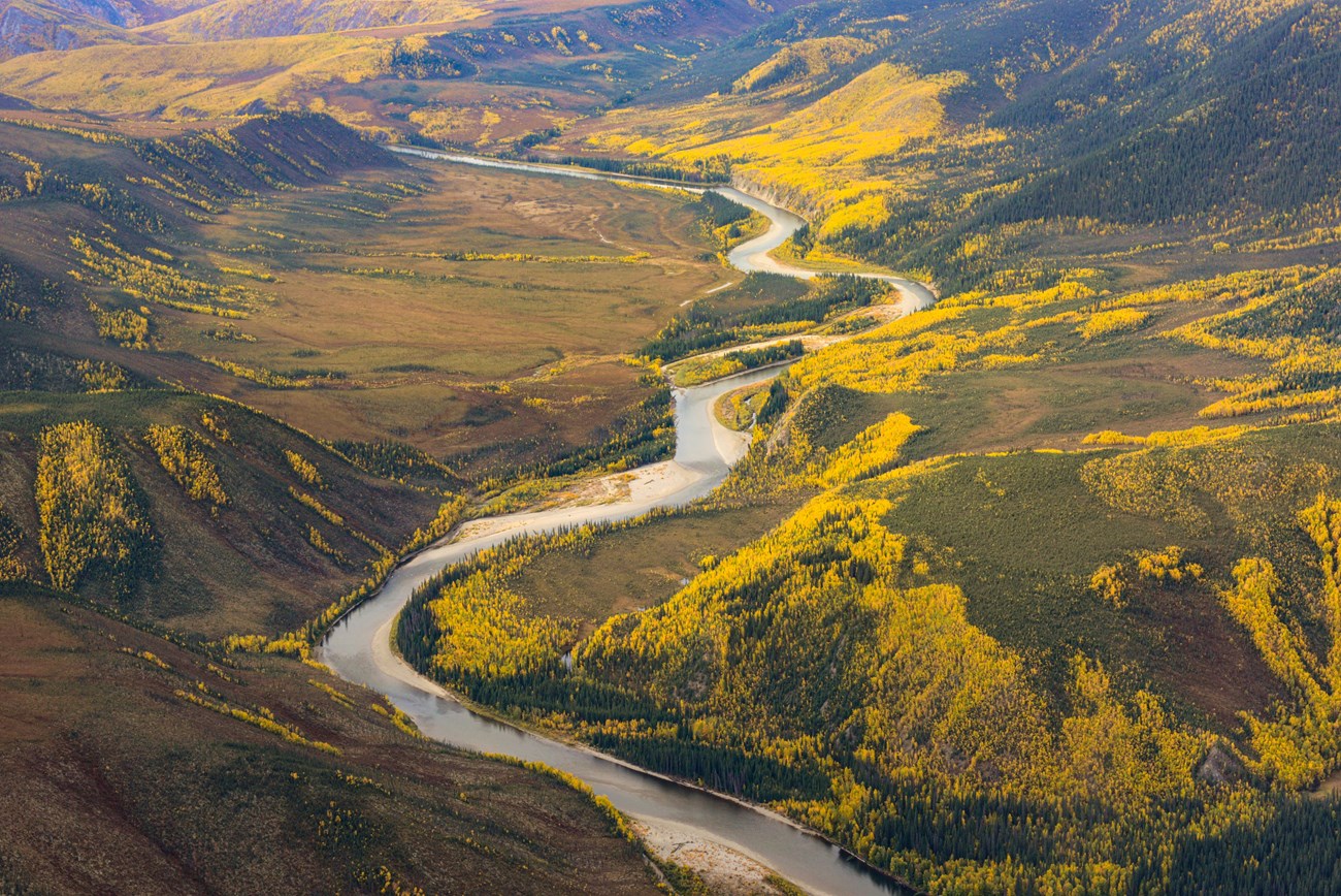 Aerial photo of the Charley River during fall colors