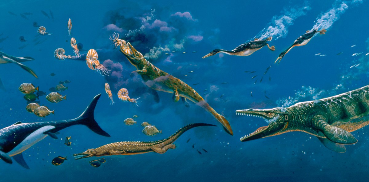 Artist’s reconstruction of the Western Interior Seaway ecosystem, with various prehistoric creatures swimming, hunting, and diving through an ocean environment